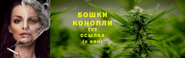 мдпв Михайловск