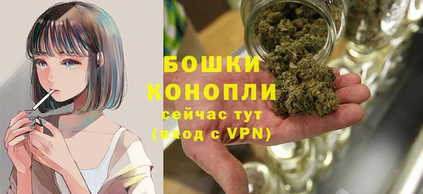 мдпв Михайловск