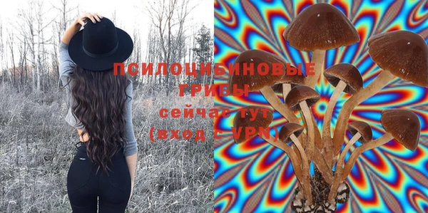 таблы Михайловка