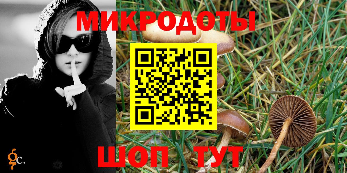 Галлюциногенные грибы прущие грибы Дзержинск