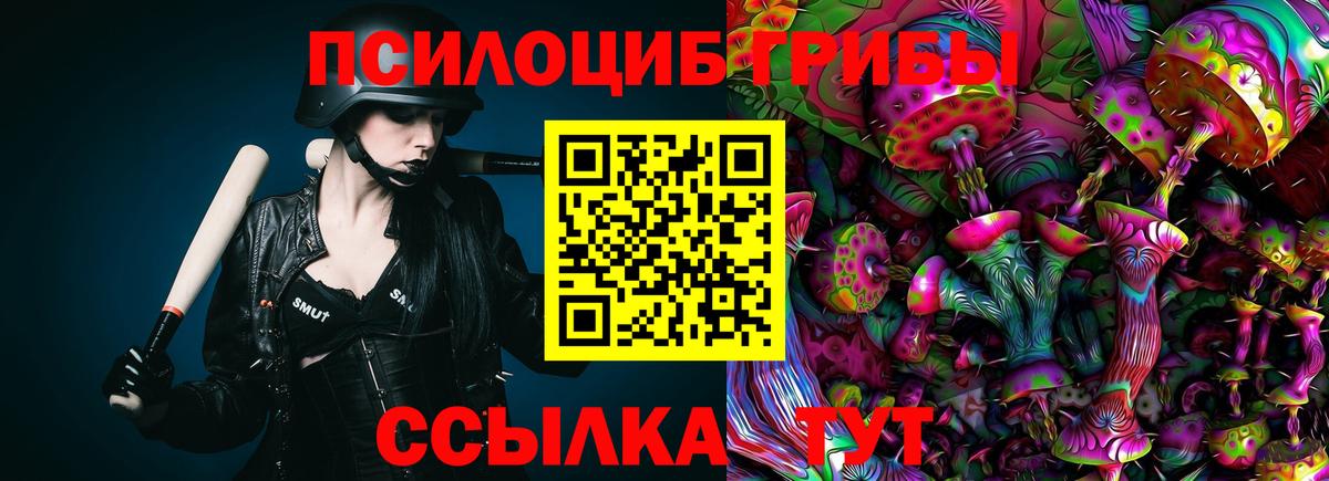 Галлюциногенные грибы Magic Shrooms  Галлюциногенные грибы Psilocybine cubensis  Дзержинск 