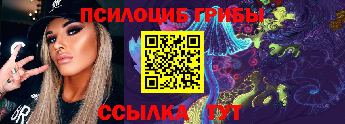 Дзержинск  Псилоцибиновые грибы мицелий  Галлюциногенные грибы Psilocybe  Вход с VPN 